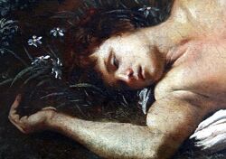 Наталия Попова Нарциссическая травма - феномен, механизм и последствия 2025