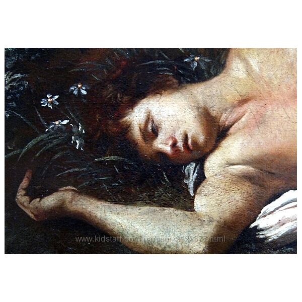 Наталия Попова Нарциссическая травма - феномен, механизм и последствия 2025