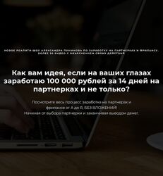 Александр Пуминов Реалити-шоу 2.0 по заработку на партнерках и фрилансе.