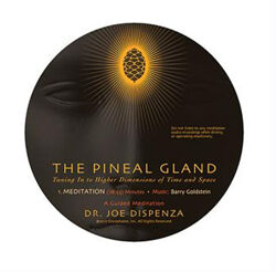 Джо Диспенза Шишковидная железа настройка на высшие измерения пространства