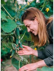 Кристианна Виниченко Мир огурцов