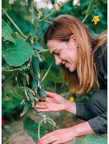 Кристианна Виниченко Мир огурцов