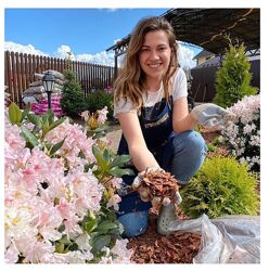 Кристианна Виниченко Цветник на солнце 2025