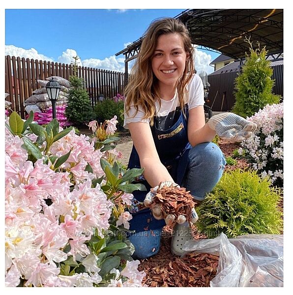 Кристианна Виниченко Цветник на солнце 2025