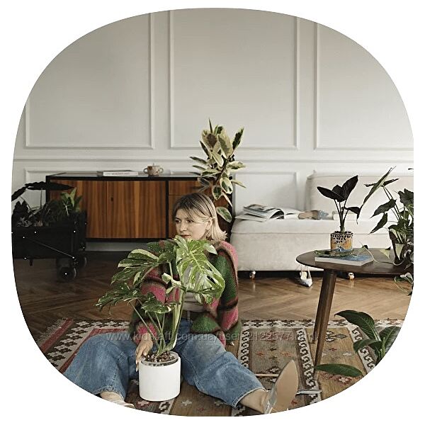 Яна Строинская Что делать если у вас растение Тариф Сами с Усами 2024