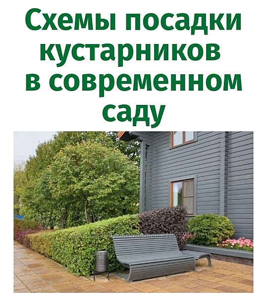 Наталья Мягкова Схемы посадки кустарников в современном саду 2025