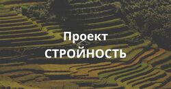 Елена Суханова Проект Стройность. Тариф Эконом 2025