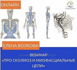 Елена Волкова ПРО сколиоз и миофасциальные цепи 