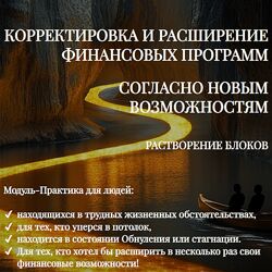Эмилия Франк Корректировка и расширение Финансовых программ согласно Новым 