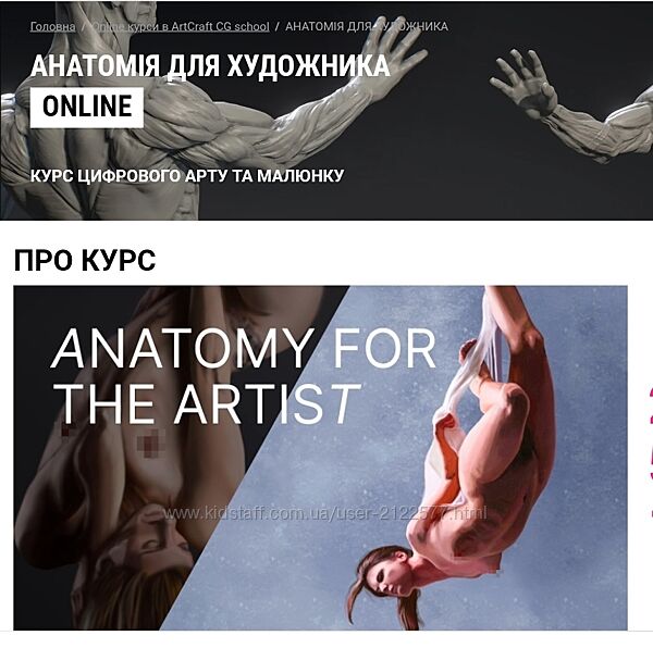 Артем Зигура Анатомия для художника ArtCraft
