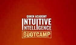 Айверсон Ли Тренинг Ци Мэнь интуитивный интеллект 2025