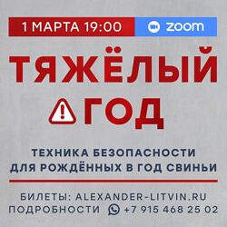 Александр Литвин Тяжелый год Техника безопасности для рожденных год Свиньи