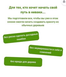 Андрей Даусенков Дерево как произведение искусства. Пакет Будущий мастер 