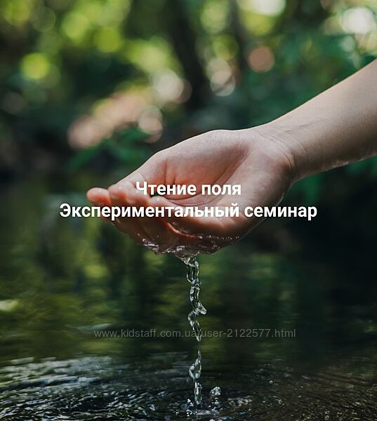 Елена Веселаго Чтение поля. Экспериментальный семинар 2025