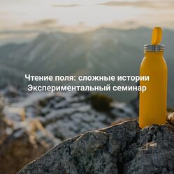 Елена Веселаго Чтение поля сложные истории. Экспериментальный семинар 2025