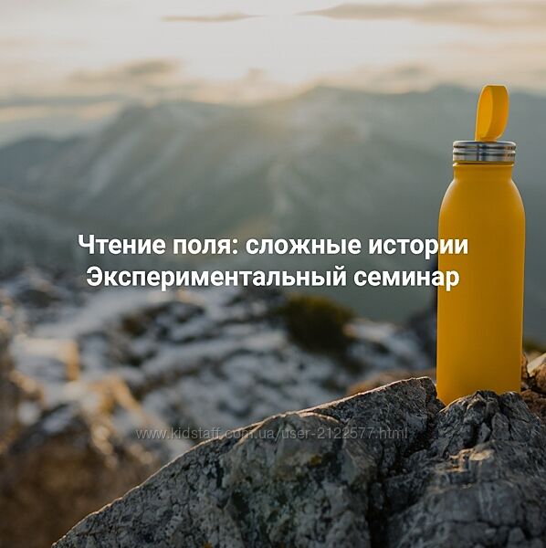 Елена Веселаго Чтение поля сложные истории. Экспериментальный семинар 2025