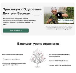 Дмитрий Звонка 10 деревьев Дмитрия Звонка 2025