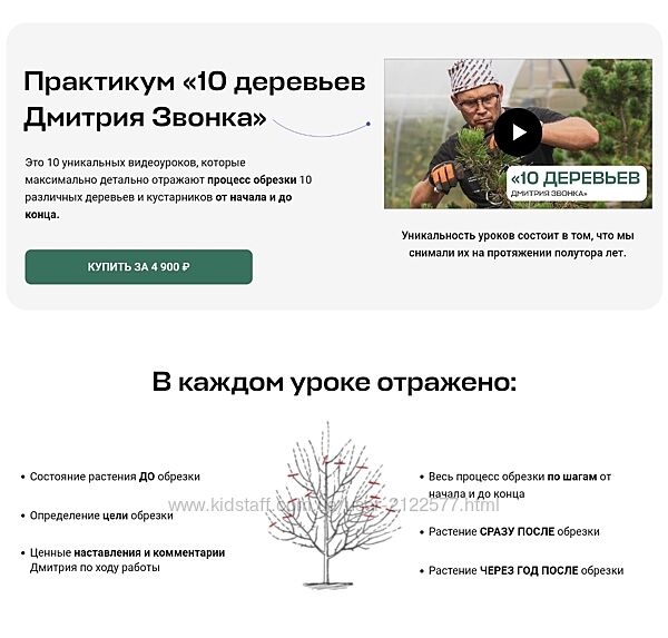 Дмитрий Звонка 10 деревьев Дмитрия Звонка 2025