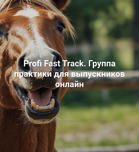 Елена Веселаго Profi Fast Track. Группа практики для выпускников 2025