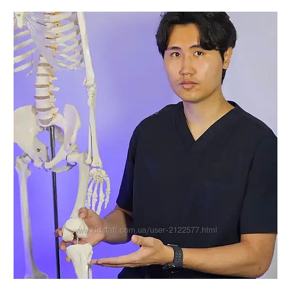 Артем Пак Здоровый коленный сустав 2025