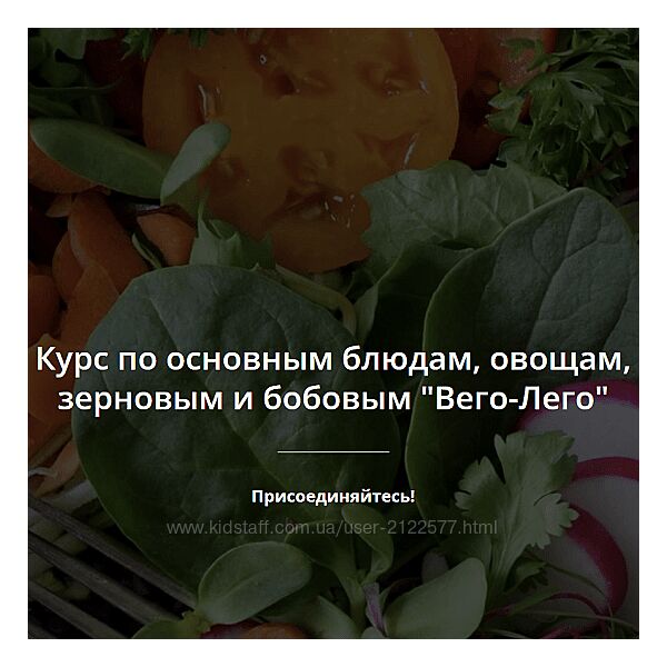 Яна Сидакова Курс Вего-Лего 