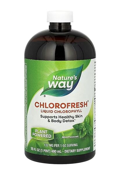 Chlorofresh, жидкий хлорофилл, мята, 480 мл