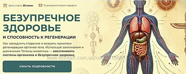 Безупречное здоровье и способность к регенерации 2024. Александр Салогуб